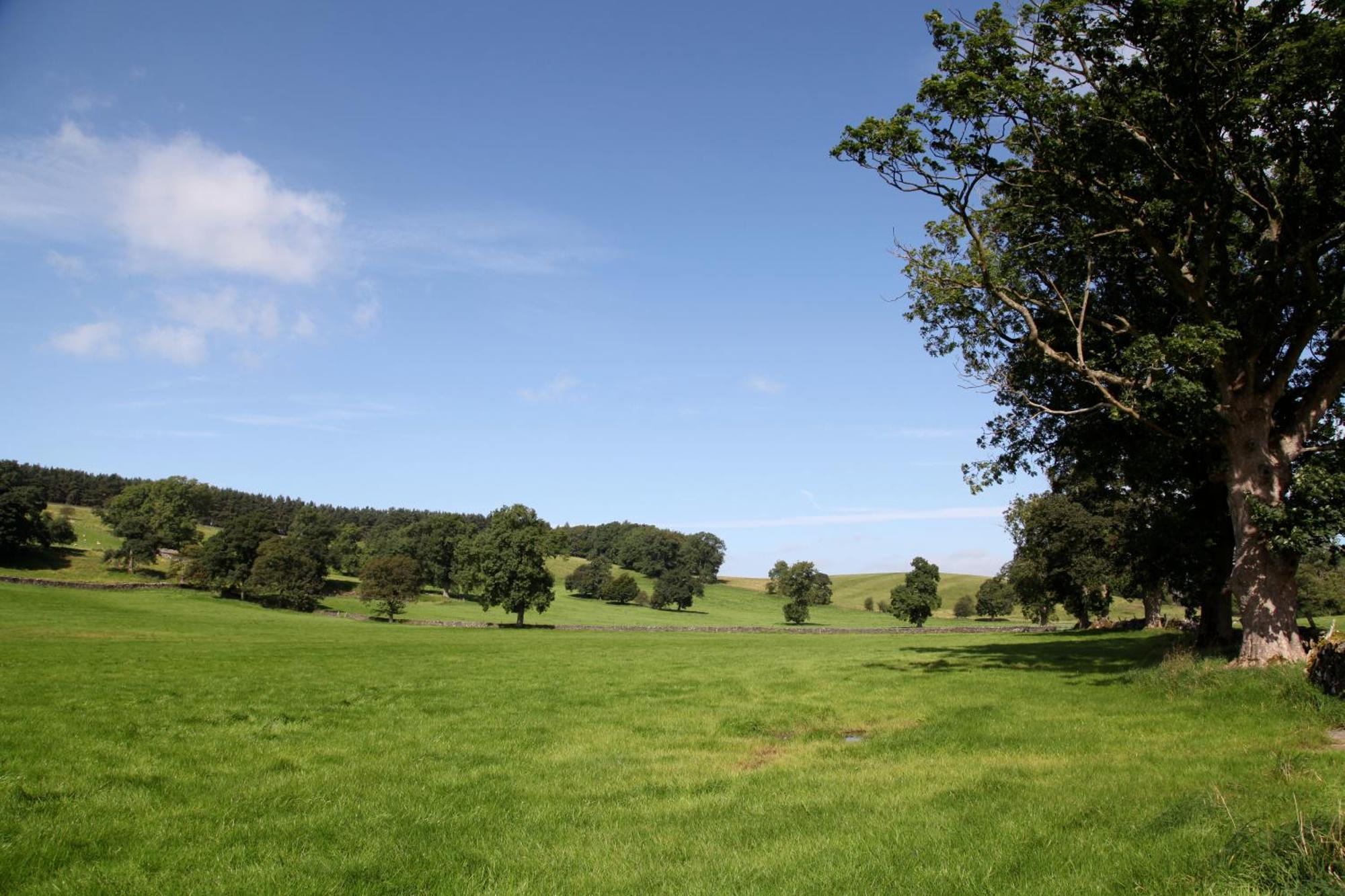Green Grove Country House Malham Εξωτερικό φωτογραφία